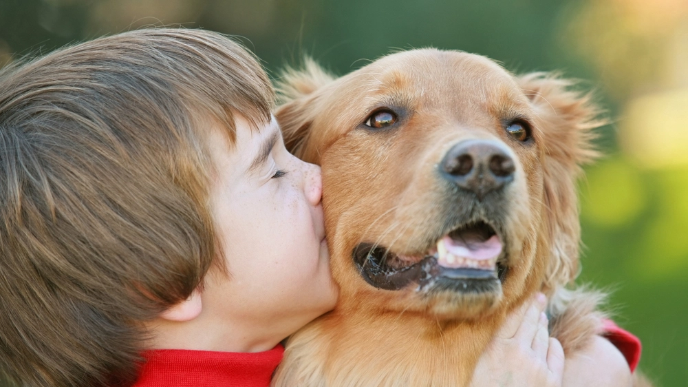 boy and dog